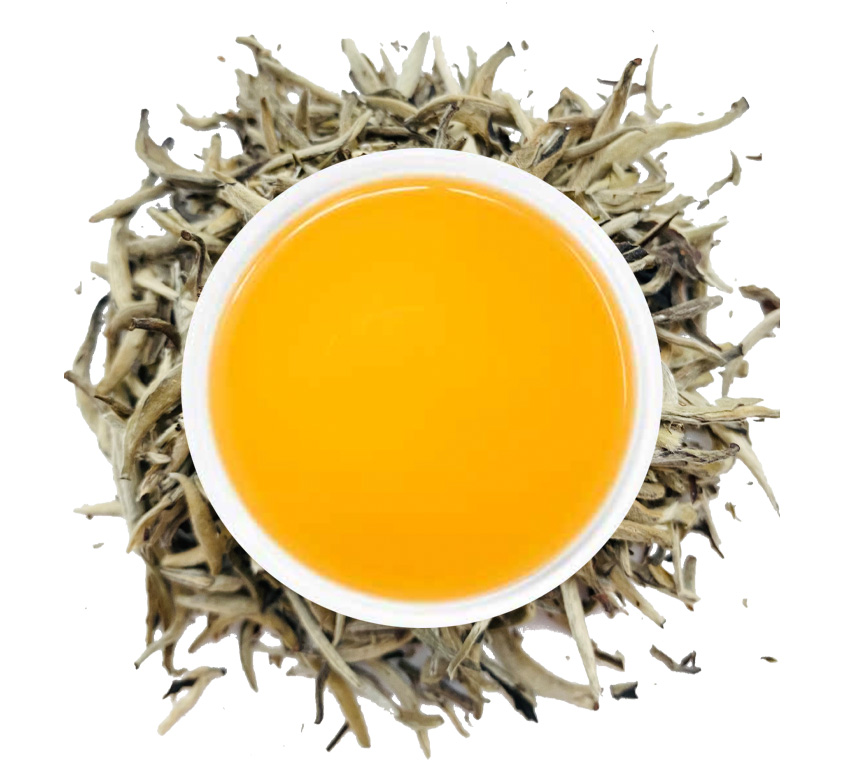 Biała herbata Silver Needle Leo Tea napar kolor herbaty w bialym kubku